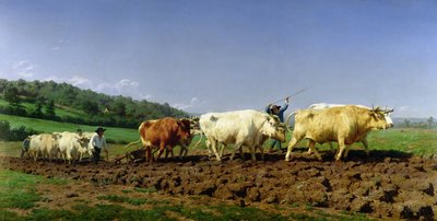 Pflügen in Nivernais, 1849 von Rosa Bonheur